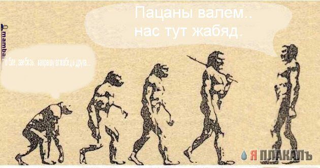 Учебник по эволюции на новый лад
