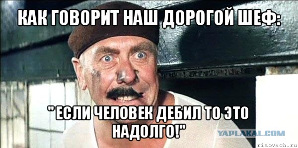 «Как жаль, что у нас нет Путина»: иностранцы с восторгом завидуют