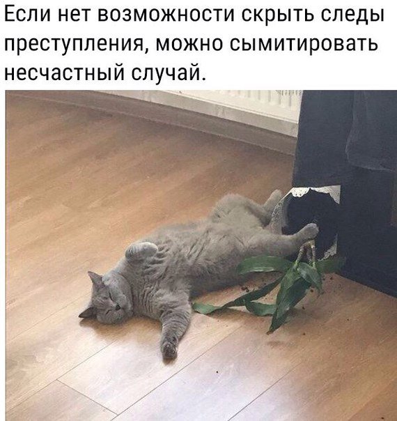 Нестандартный юмор