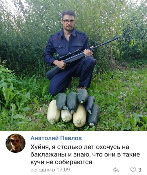Картинки веселые и интересные
