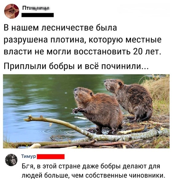 Анекдоты, истории и картинки с надписями
