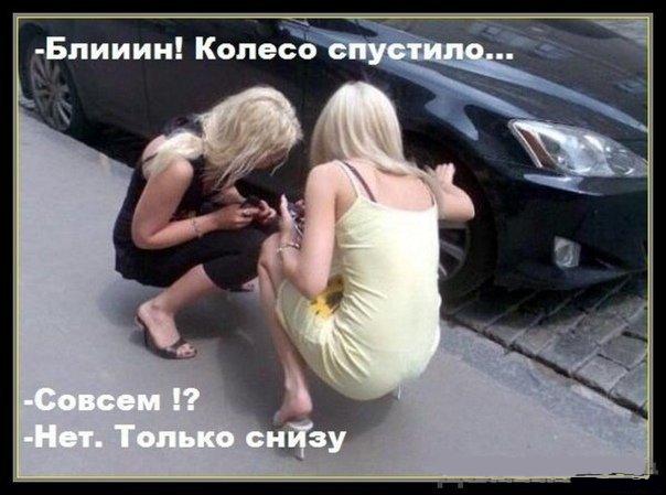 Подборка интересных и веселых картинок