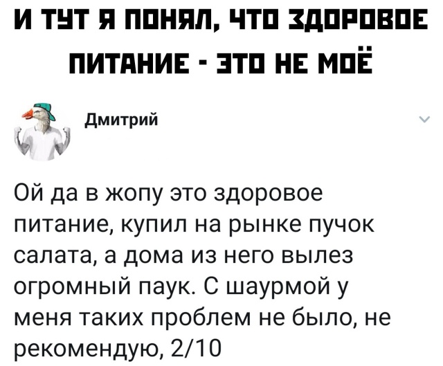 Подборка интересных и веселых картинок