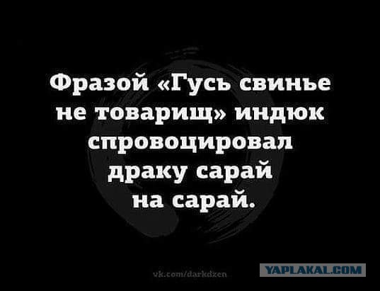 Картинки с надписями, истории и анекдоты