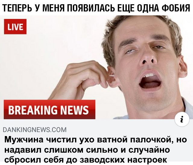 13187497.jpg