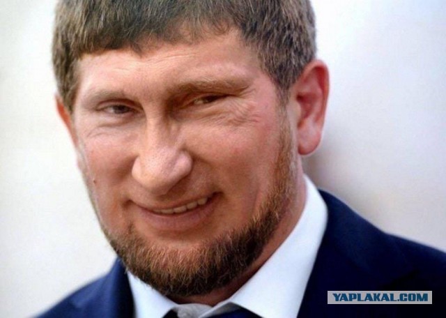 За коллаж на Кадырова задержали 25 человек