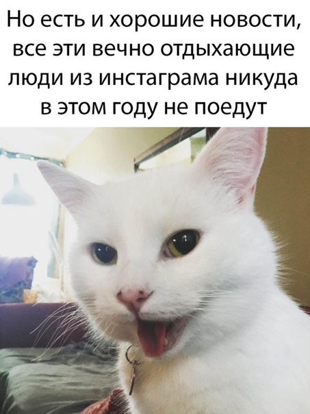 Бредзона 17.03.2020