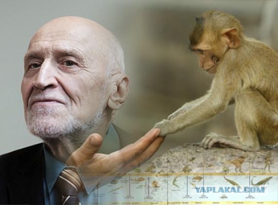Или там больше 1000 лс или кто то ненастоящий
