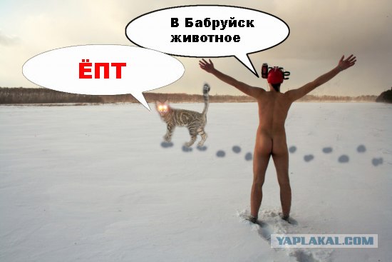 Фотожаба: Скоро зима