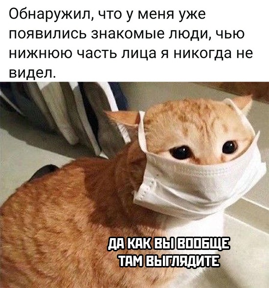 Юмор в картинках 26.12.20