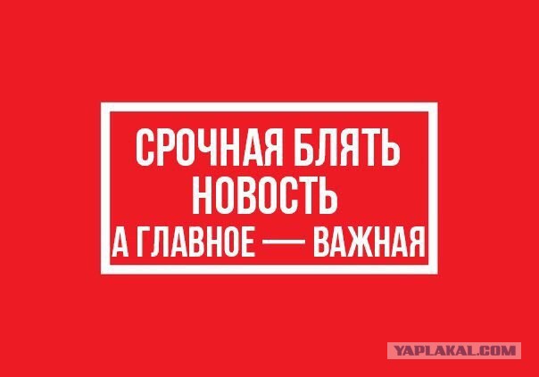 Посол Британии заявила, что Россия не должна победить коронавирус