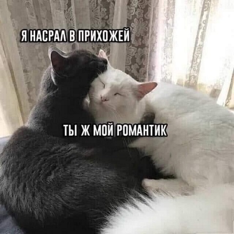 Картинки 09.01.21