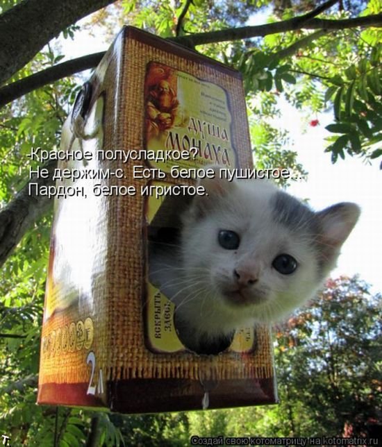 Фигасе воробушек!