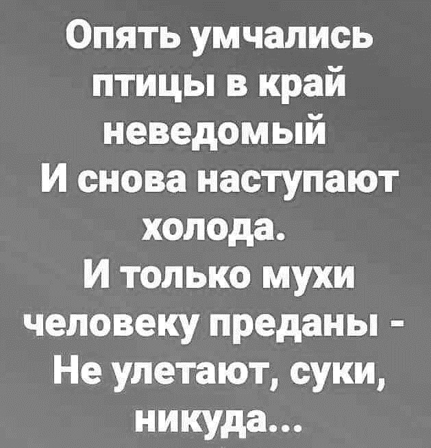 Так себе картинки 08.02.21