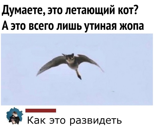 Картинки и мемы для настроения 016