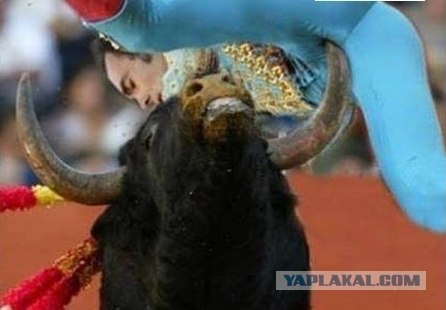 Жалко бычка