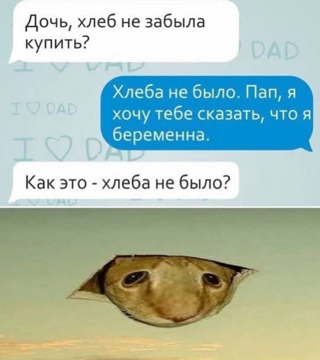 Картинки и мемы для настроения 02.08.2021