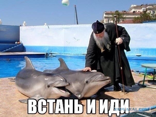 Так себе картинки 07.09.21