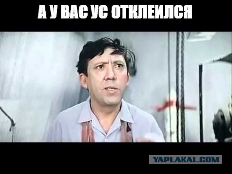 Человек не произошёл от обезьяны, он и есть обезьяна