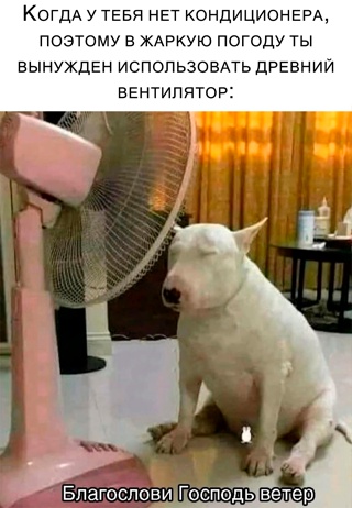 Картинки и мемы для настроения - 15
