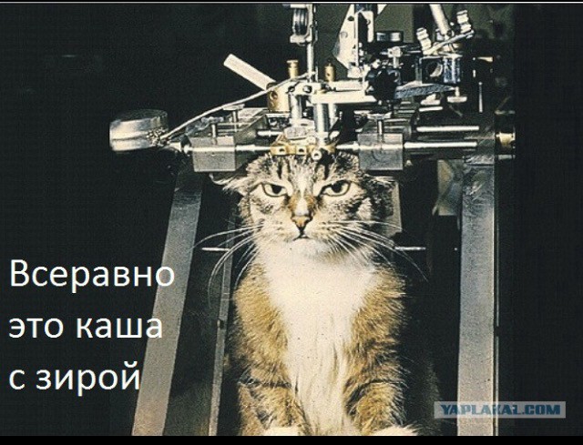 Дачный плов