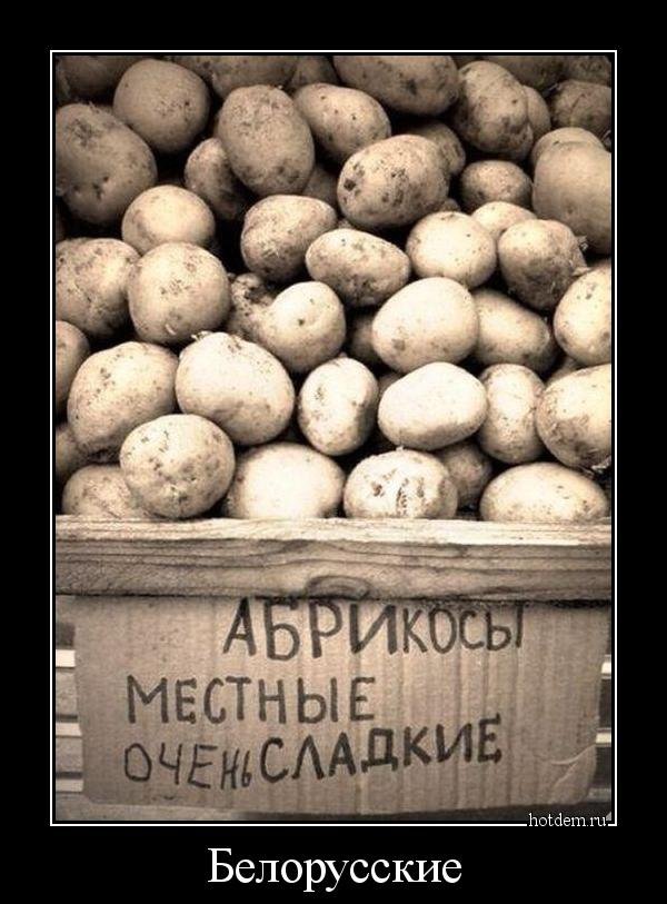 Пандемия съехавших крыш - разновидности болезни. Россия и мир. Часть 42.