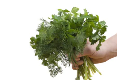 Некоторые особенности нечеловеческих сущностей