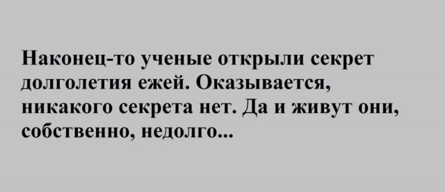 Забавные комментарии из социальных сетей (19.12.22)