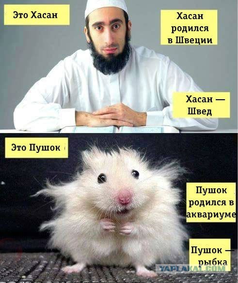 Кому вечером нечего смотреть