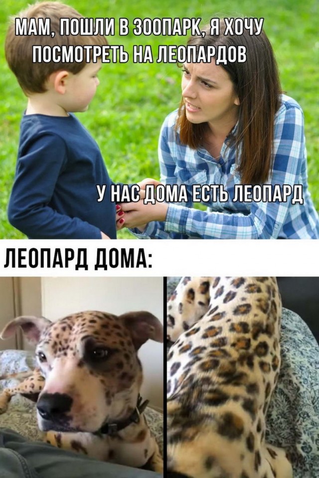 Немного картинок для настроения - 129