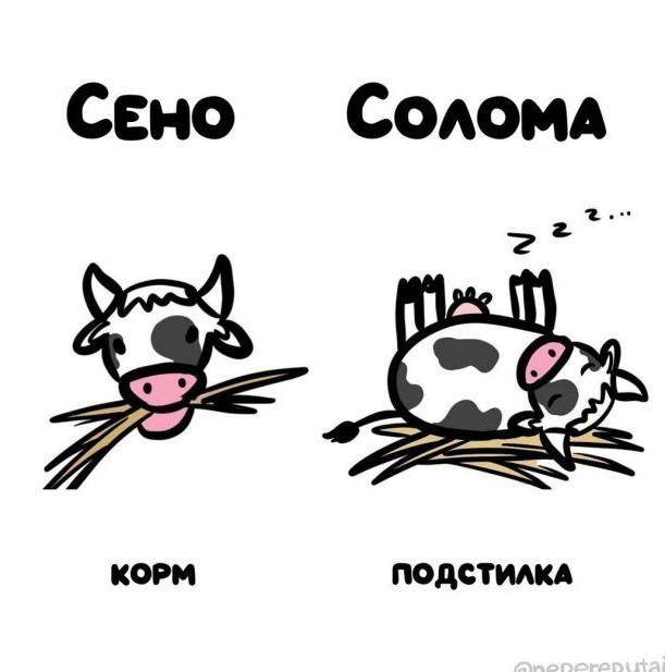 Смотри, Кутузов, не перепутай... vol.3