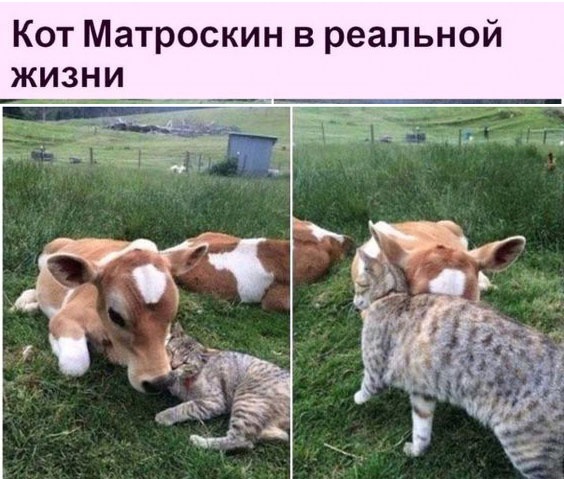 Так себе картинки 02.03.23