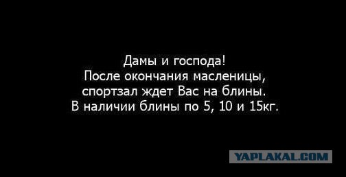 Железный Арни возвращается