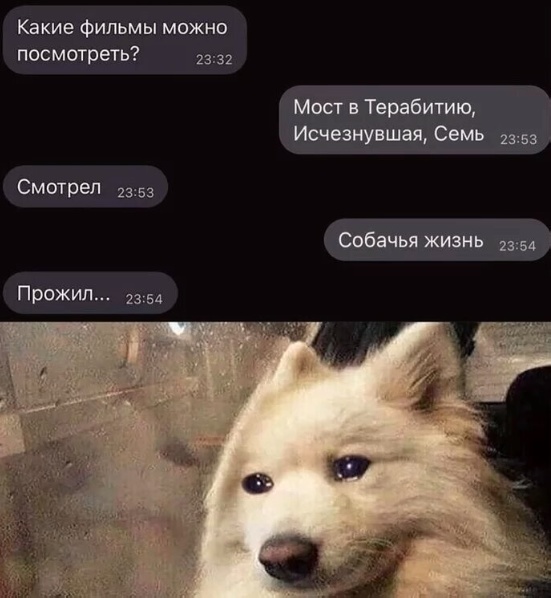 Так себе картинки 19.03.23