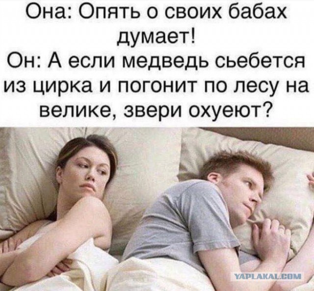 Юмор в картинках и без 17.05.23