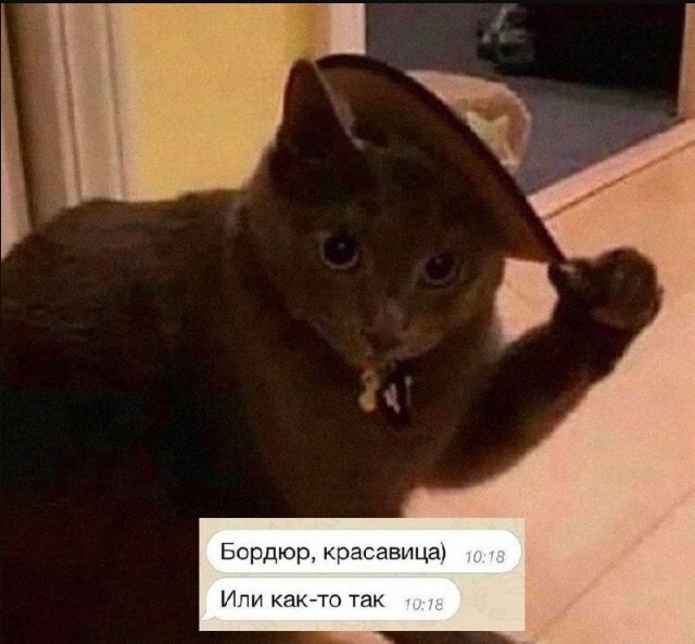 Забавные комментарии из социальных сетей (22.05.23)