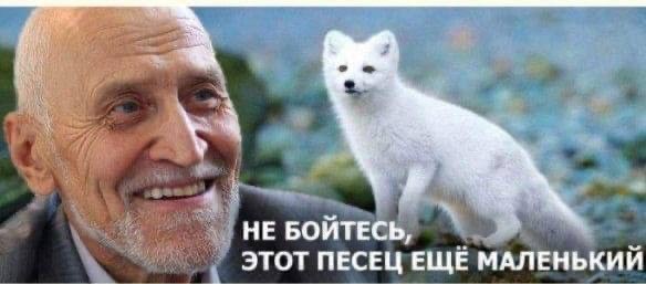 В Госдуму внесен проект о праве граждан, имеющих судимость и ограниченно годных, поступать на военную службу по контракту