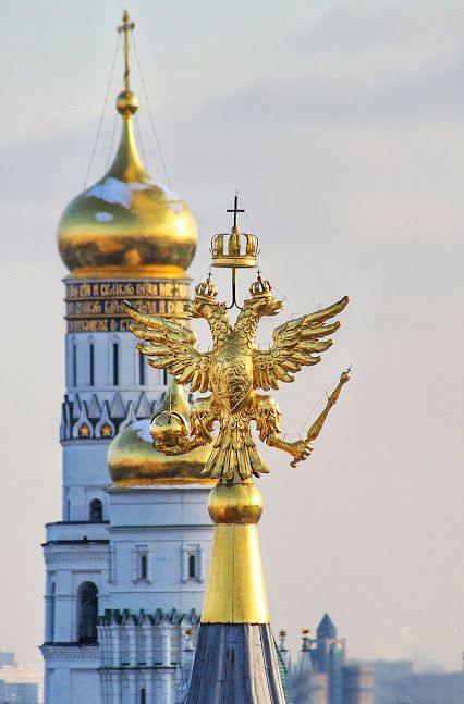 Прикольные и просто красивые картинки 04.07.2023
