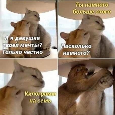 Бессистемно: картинки, лайфаки, баяны…
