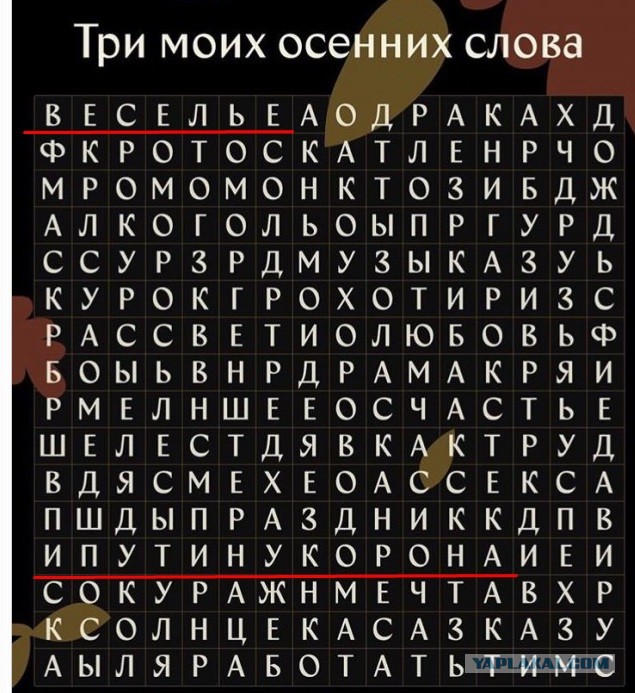 Весёлый полтишок 26.10.23
