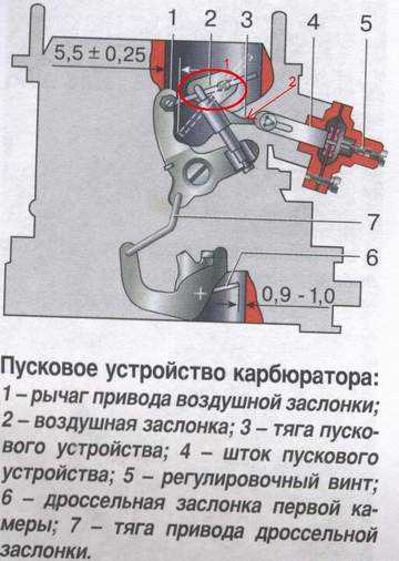 Опытная женщина