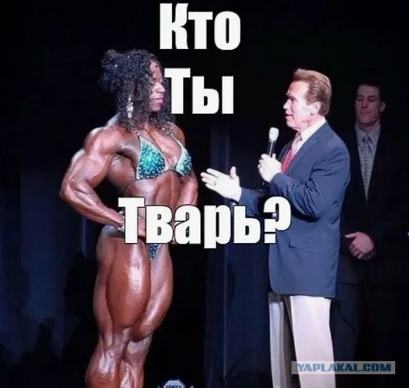Поклонники есть? Кто бы вдул?