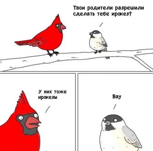 - Давайте я вам переведу