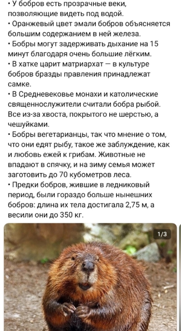 Так себе картинки 03.12.24
