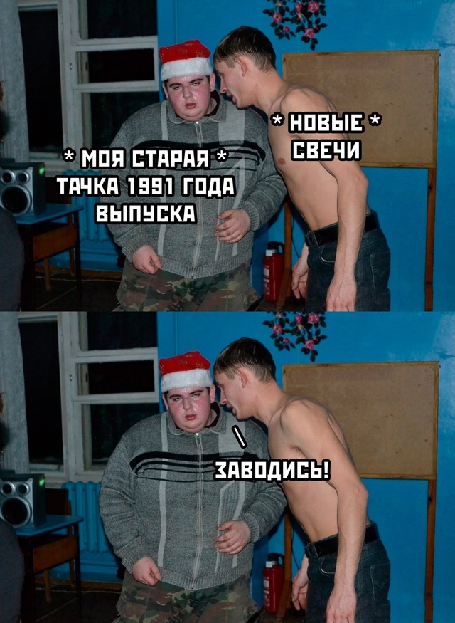 Весёлый полтишок 08.01.25
