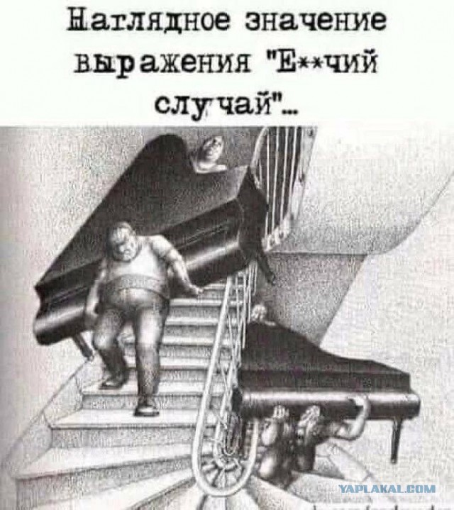 Так себе картинки 30.01.25