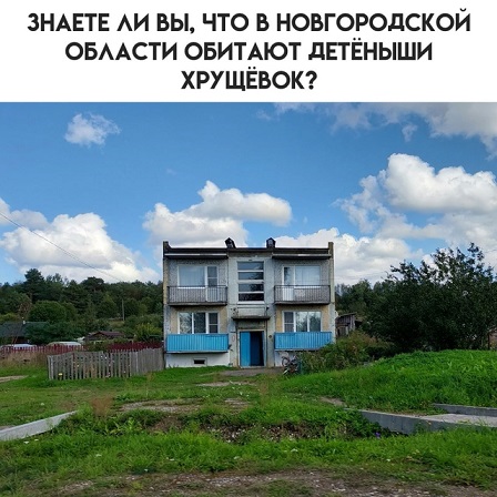 Молодцы детки!