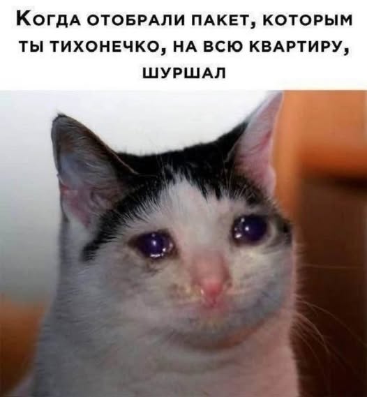 Так себе картинки 04.03.25