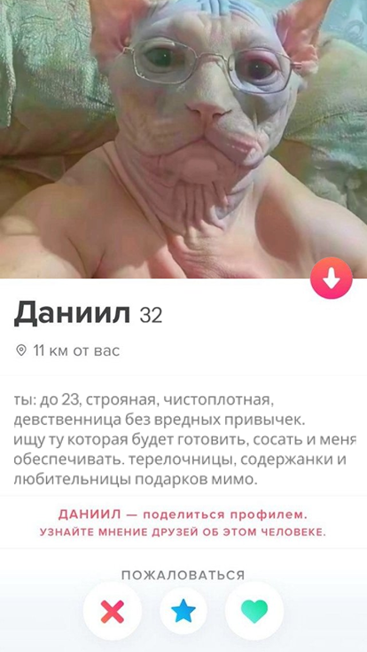 К котовторнику: подборка картинок-баянов с котиками и про котиков. Выпуск 8