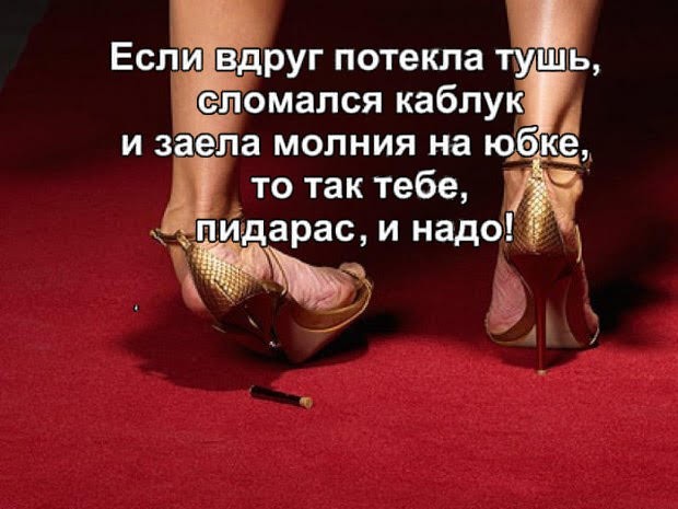 Отсутствие морально этических норм  Vol.17